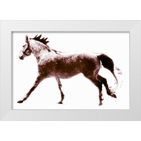 Horse 6 White Modern Wood Framed Art Print by Hoffman, Kate