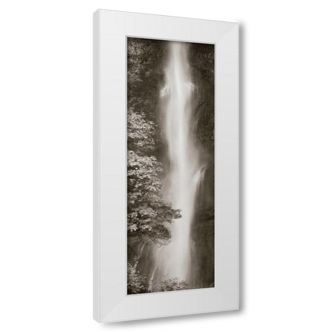 Multnomah Falls Panel White Modern Wood Framed Art Print by Audit, Lisa