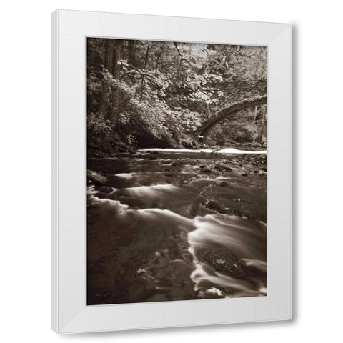Whatcom Creek White Modern Wood Framed Art Print by Audit, Lisa