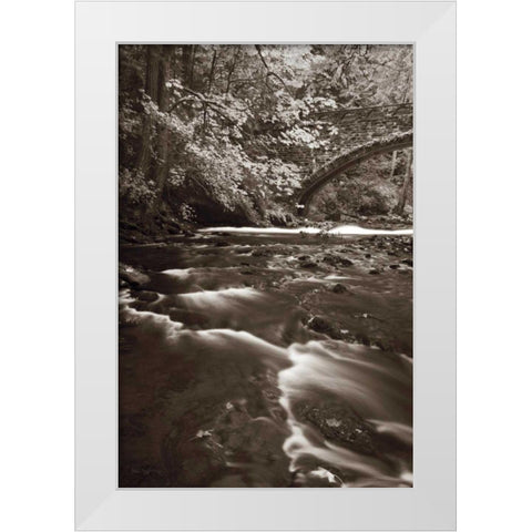 Whatcom Creek White Modern Wood Framed Art Print by Audit, Lisa