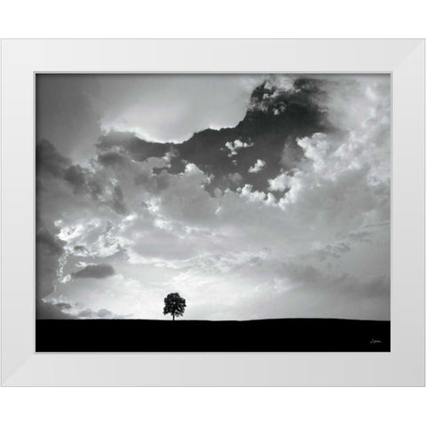 Lone Tree White Modern Wood Framed Art Print by Aledanda
