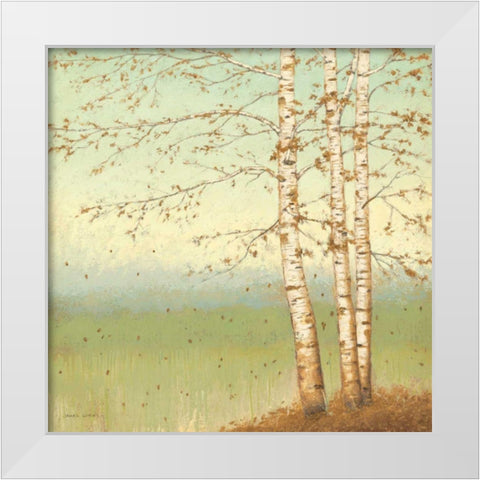 Golden Birch II with Blue Sky White Modern Wood Framed Art Print by Wiens, James