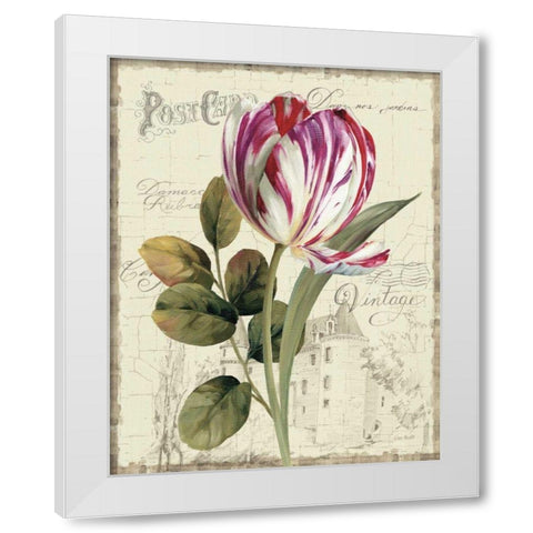 Garden View II - Tulip White Modern Wood Framed Art Print by Audit, Lisa