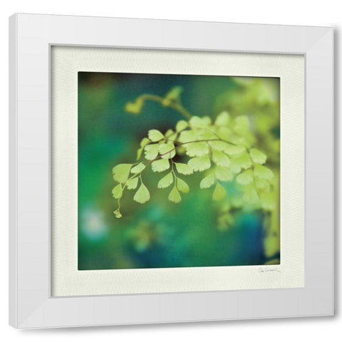 Natures Fern II White Modern Wood Framed Art Print by Schlabach, Sue