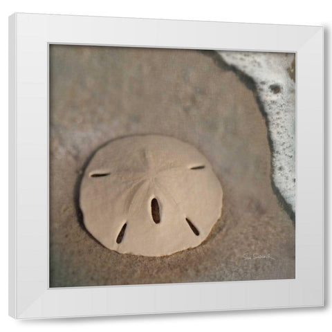 Sand Surf Sand Dollar White Modern Wood Framed Art Print by Schlabach, Sue