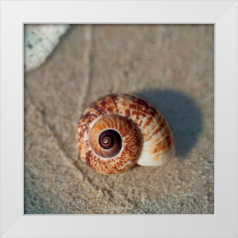 Sand Surf Shell White Modern Wood Framed Art Print by Schlabach, Sue