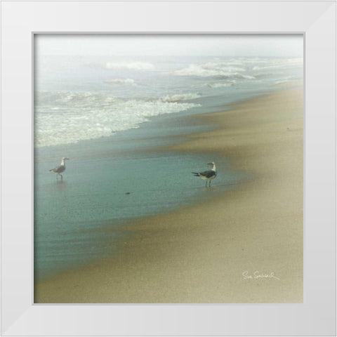 Seabirds White Modern Wood Framed Art Print by Schlabach, Sue