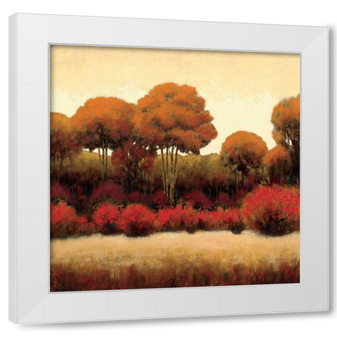 Autumn Forest II White Modern Wood Framed Art Print by Wiens, James