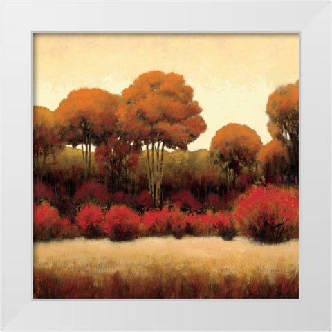 Autumn Forest II White Modern Wood Framed Art Print by Wiens, James