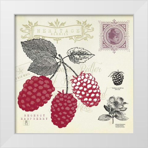 Raspberry Notes White Modern Wood Framed Art Print by Studio Mousseau