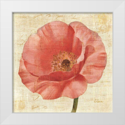 Blushing Poppy White Modern Wood Framed Art Print by Hristova, Albena