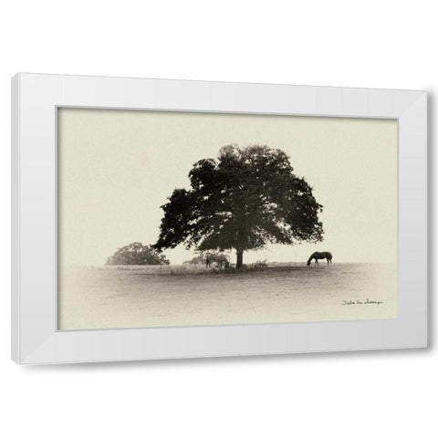 Horses and Trees I White Modern Wood Framed Art Print by Van Swearingen, Debra