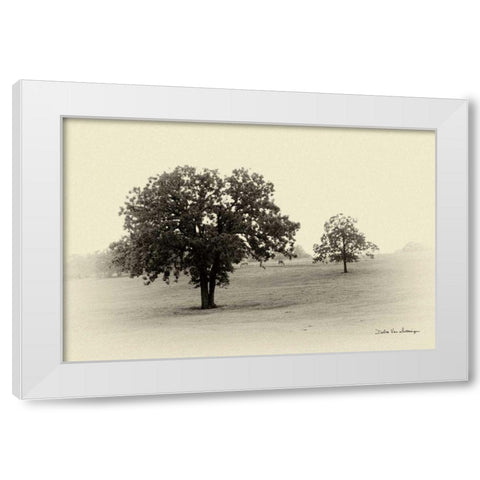 Horses and Tress II White Modern Wood Framed Art Print by Van Swearingen, Debra