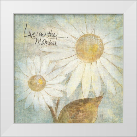 Daisy Do III - Live in the Moment White Modern Wood Framed Art Print by Paschke, Chris