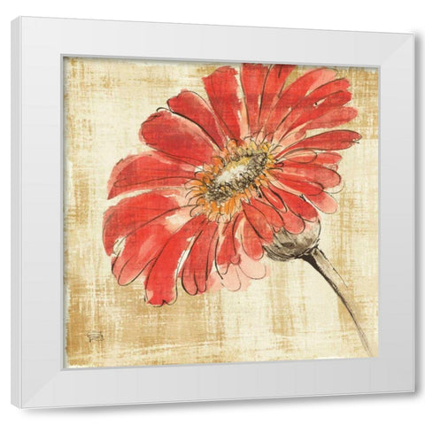 Tangerine and Grey II White Modern Wood Framed Art Print by Paschke, Chris