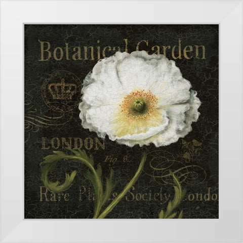 Botanical Garden II White Modern Wood Framed Art Print by Brissonnet, Daphne