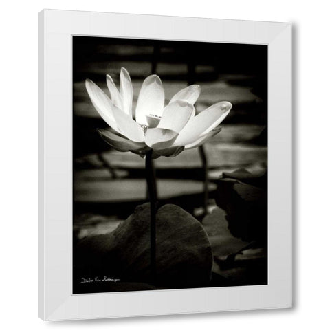 Lotus Flower VIII White Modern Wood Framed Art Print by Van Swearingen, Debra