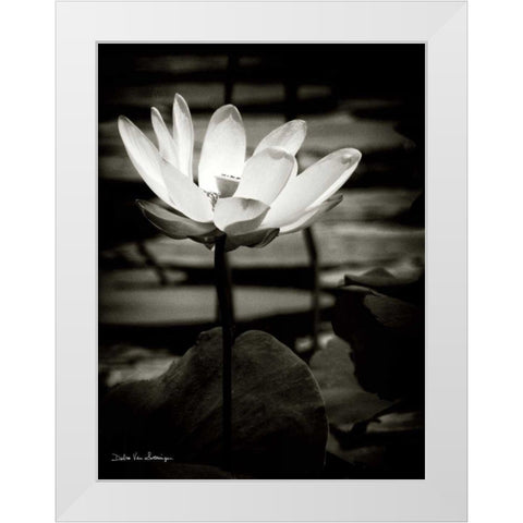 Lotus Flower VIII White Modern Wood Framed Art Print by Van Swearingen, Debra