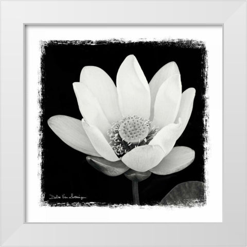 Lotus Flower I White Modern Wood Framed Art Print by Van Swearingen, Debra