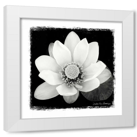 Lotus Flower II White Modern Wood Framed Art Print by Van Swearingen, Debra