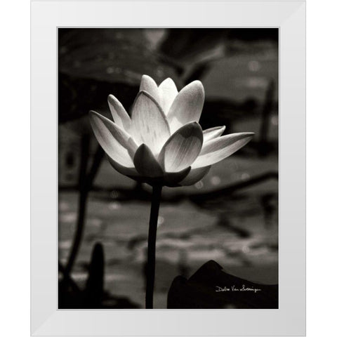 Lotus Flower VII White Modern Wood Framed Art Print by Van Swearingen, Debra