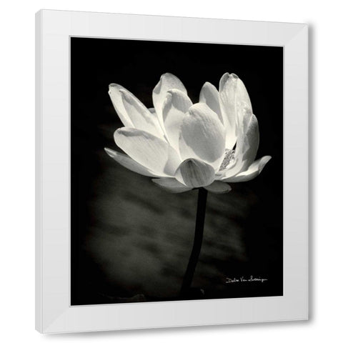Lotus Flower X White Modern Wood Framed Art Print by Van Swearingen, Debra