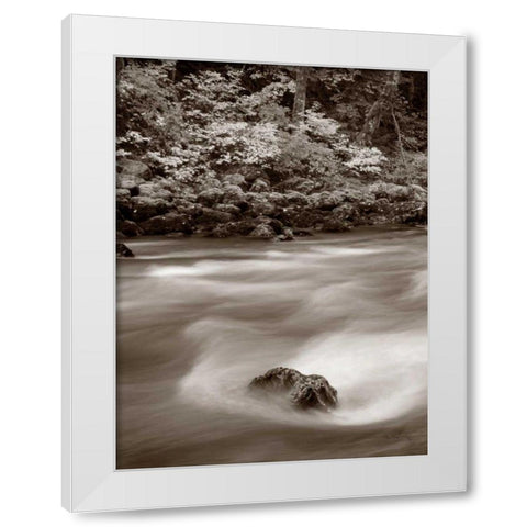 Nooksack River North Cascades White Modern Wood Framed Art Print by Audit, Lisa