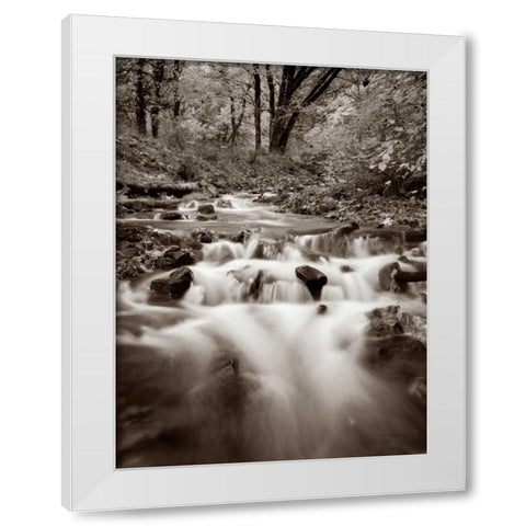 Wahkeena Creek White Modern Wood Framed Art Print by Audit, Lisa
