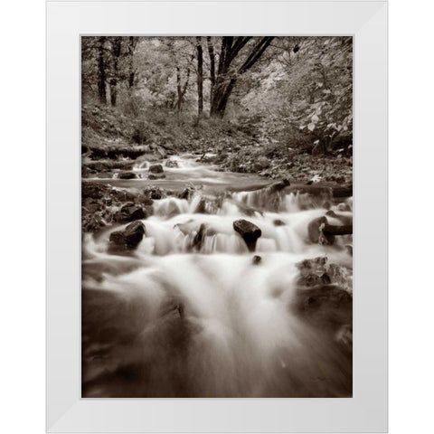 Wahkeena Creek White Modern Wood Framed Art Print by Audit, Lisa