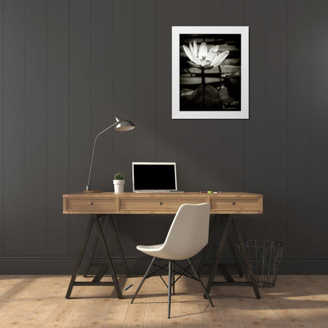 Lotus Flower VIII White Modern Wood Framed Art Print by Van Swearingen, Debra