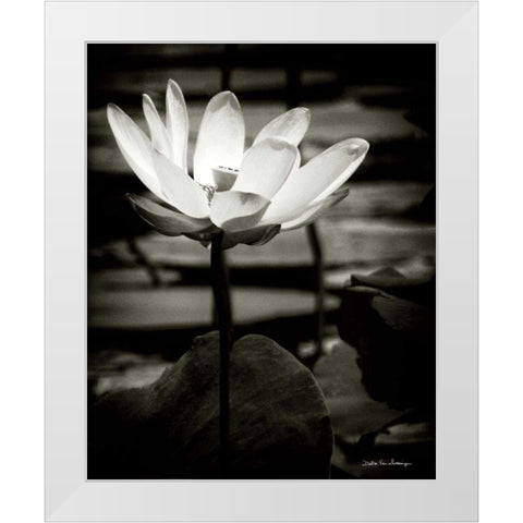 Lotus Flower VIII White Modern Wood Framed Art Print by Van Swearingen, Debra