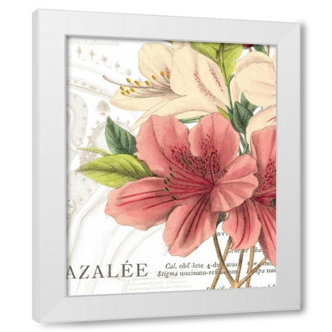 Azalee Jardin I White Modern Wood Framed Art Print by Wild Apple Portfolio