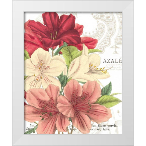 Azalee Jardin II White Modern Wood Framed Art Print by Wild Apple Portfolio
