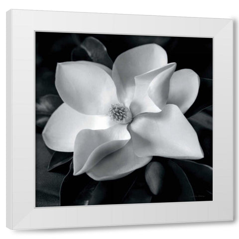 Magnolia White Modern Wood Framed Art Print by Van Swearingen, Debra