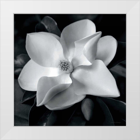 Magnolia White Modern Wood Framed Art Print by Van Swearingen, Debra