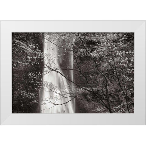 Double Falls II White Modern Wood Framed Art Print by Audit, Lisa