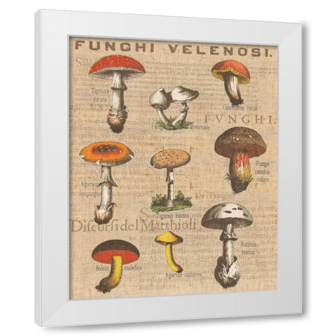 Funghi Velenosi I White Modern Wood Framed Art Print by Wild Apple Portfolio