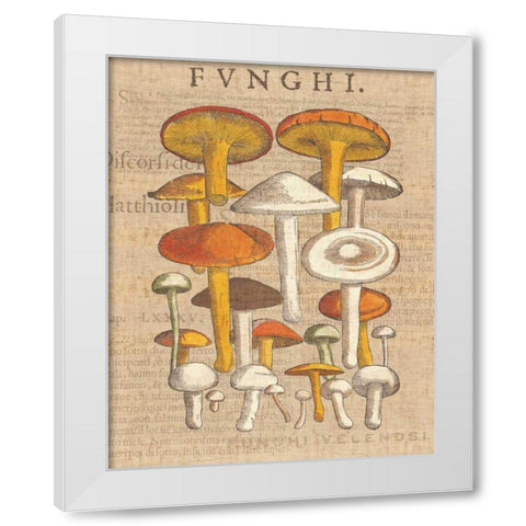 Funghi Velenosi II White Modern Wood Framed Art Print by Wild Apple Portfolio