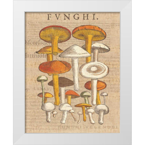 Funghi Velenosi II White Modern Wood Framed Art Print by Wild Apple Portfolio
