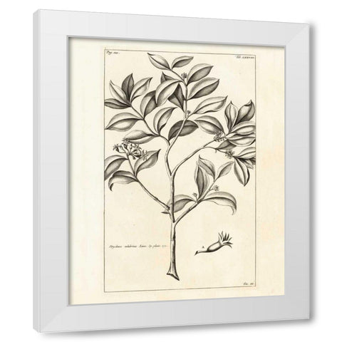 Tropical Leaf Study I White Modern Wood Framed Art Print by Wild Apple Portfolio