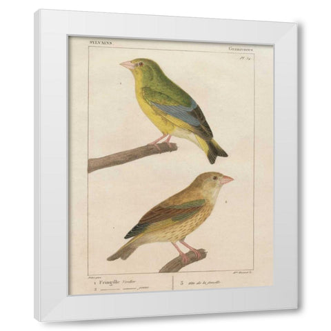 Sylvains I White Modern Wood Framed Art Print by Wild Apple Portfolio