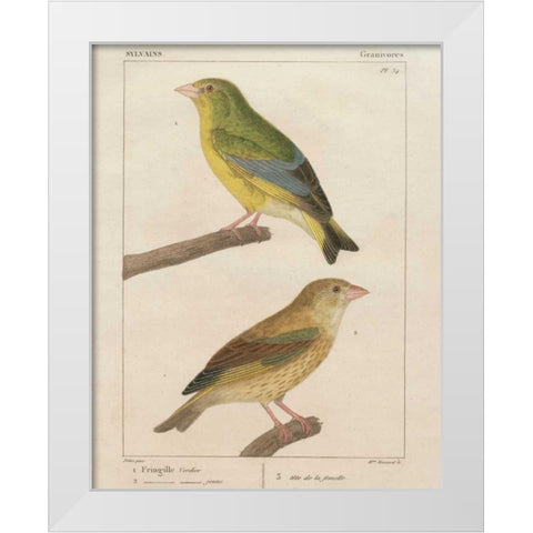 Sylvains I White Modern Wood Framed Art Print by Wild Apple Portfolio