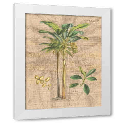 Palm Study I White Modern Wood Framed Art Print by Wild Apple Portfolio