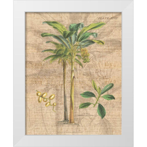 Palm Study I White Modern Wood Framed Art Print by Wild Apple Portfolio