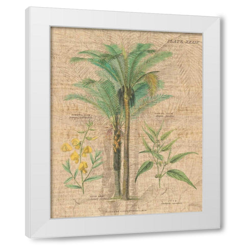 Palm Study II White Modern Wood Framed Art Print by Wild Apple Portfolio