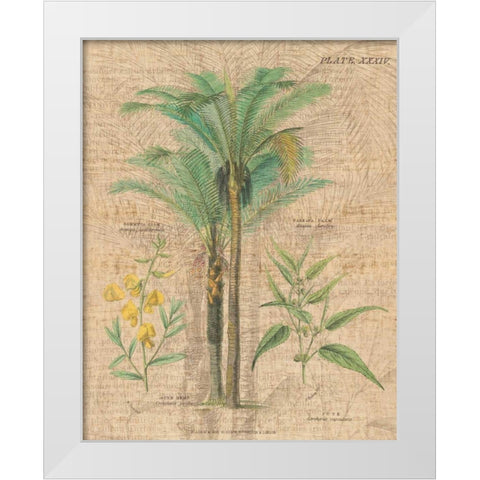 Palm Study II White Modern Wood Framed Art Print by Wild Apple Portfolio