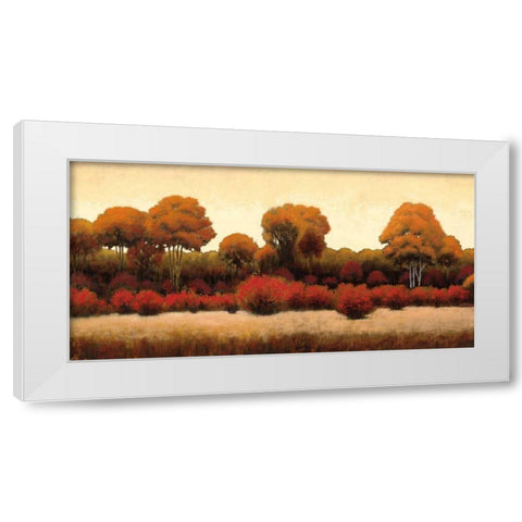 Autumn Forest III White Modern Wood Framed Art Print by Wiens, James