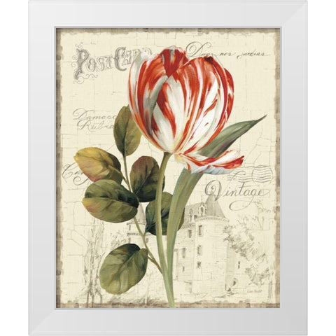 Garden View II - Red Tulip White Modern Wood Framed Art Print by Audit, Lisa