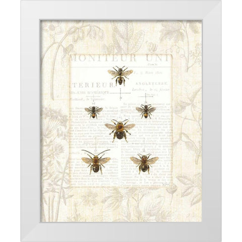 Bee Botanical White Modern Wood Framed Art Print by Schlabach, Sue