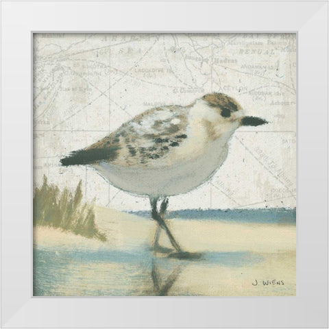 Beach Bird I White Modern Wood Framed Art Print by Wiens, James
